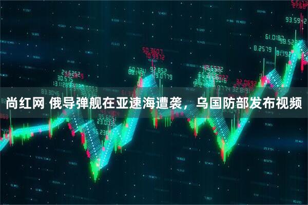 尚红网 俄导弹舰在亚速海遭袭，乌国防部发布视频