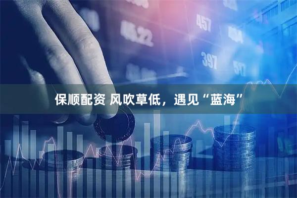 保顺配资 风吹草低，遇见“蓝海”