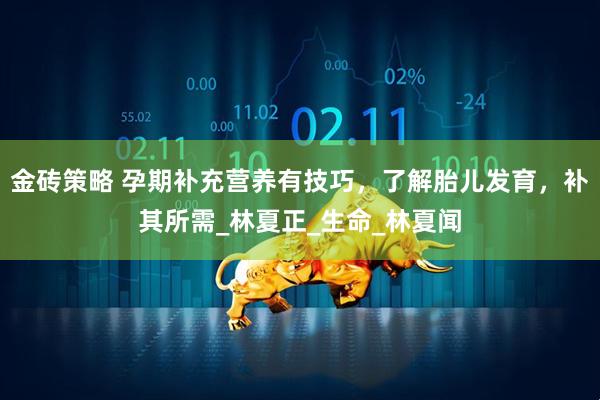 金砖策略 孕期补充营养有技巧，了解胎儿发育，补其所需_林夏正_生命_林夏闻