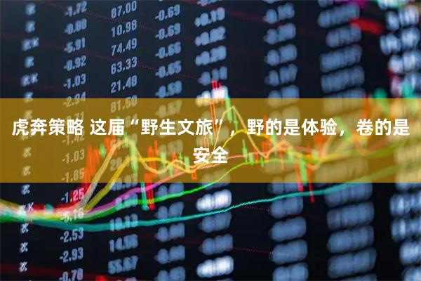 虎奔策略 这届“野生文旅”，野的是体验，卷的是安全