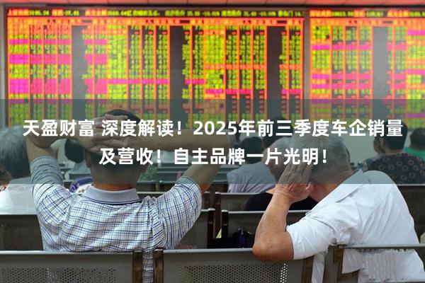 天盈财富 深度解读！2025年前三季度车企销量及营收！自主品牌一片光明！