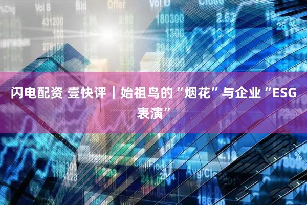闪电配资 壹快评｜始祖鸟的“烟花”与企业“ESG表演”
