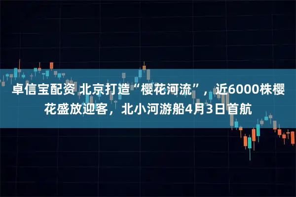 卓信宝配资 北京打造“樱花河流”，近6000株樱花盛放迎客，北小河游船4月3日首航